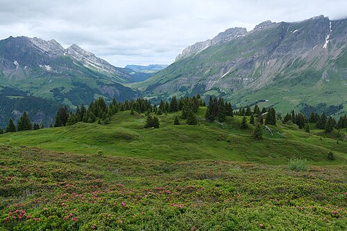 Col des Aravis @ La Giettaz (51294093498).jpg