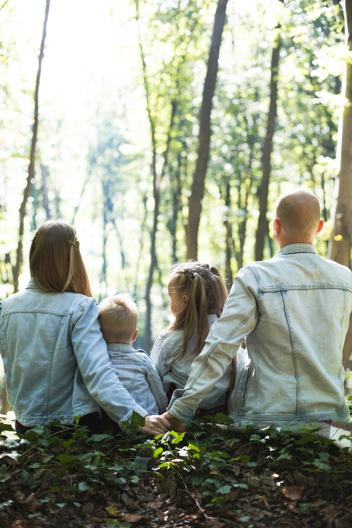 Parc animalier municipal gratuit sur la route du Semnoz : daims, cerfs élaphes et mouflons de Corse, ouvert toute l'année.