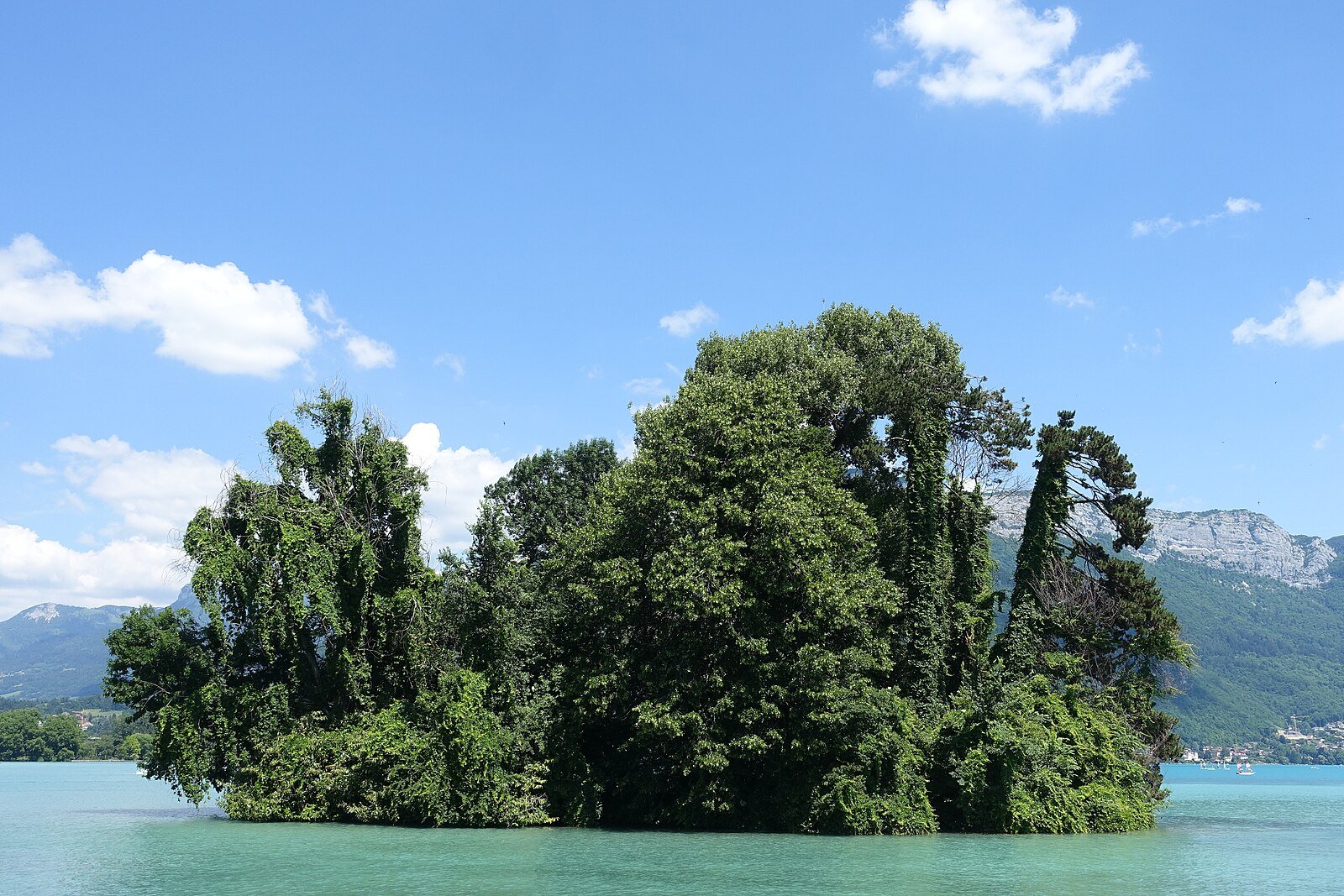 Île aux Cygnes vista desde los Jardins de l'Europe, a orillas del lago de Annecy con los árboles centenarios del arboreto