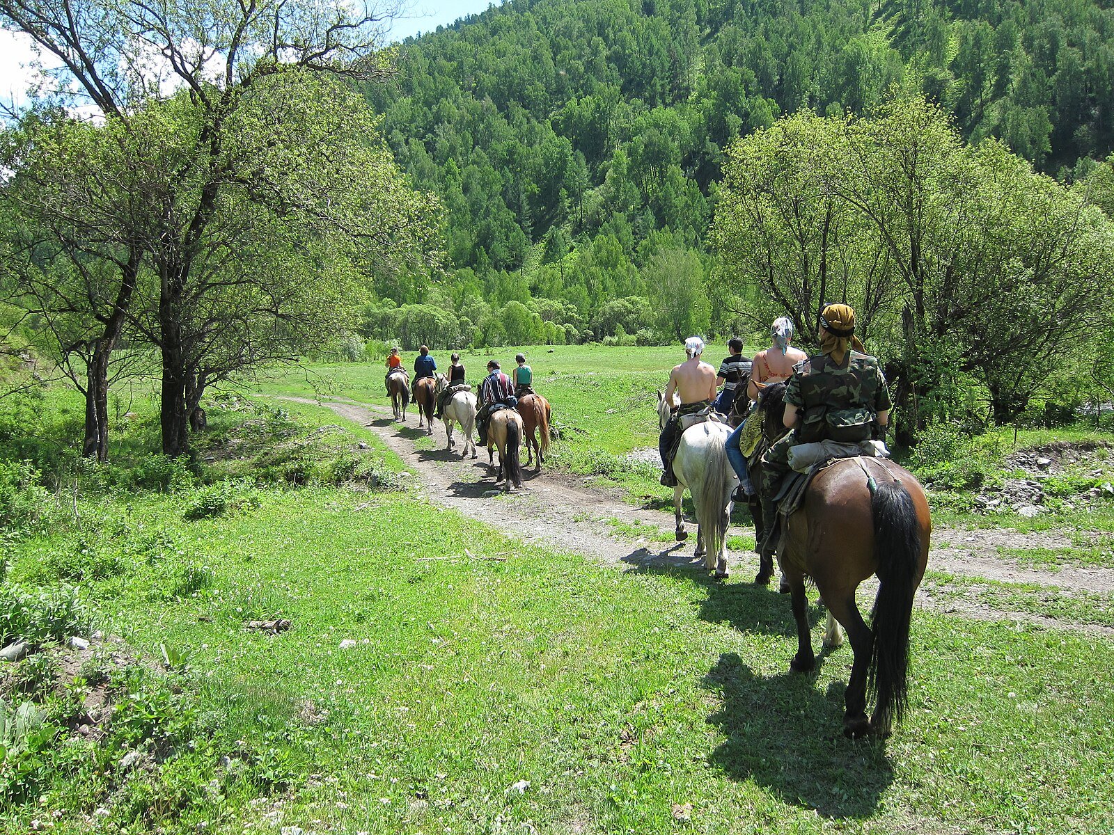 Paths of Parc des Dérêches along the Dranse, Morzine, Haute-Savoie