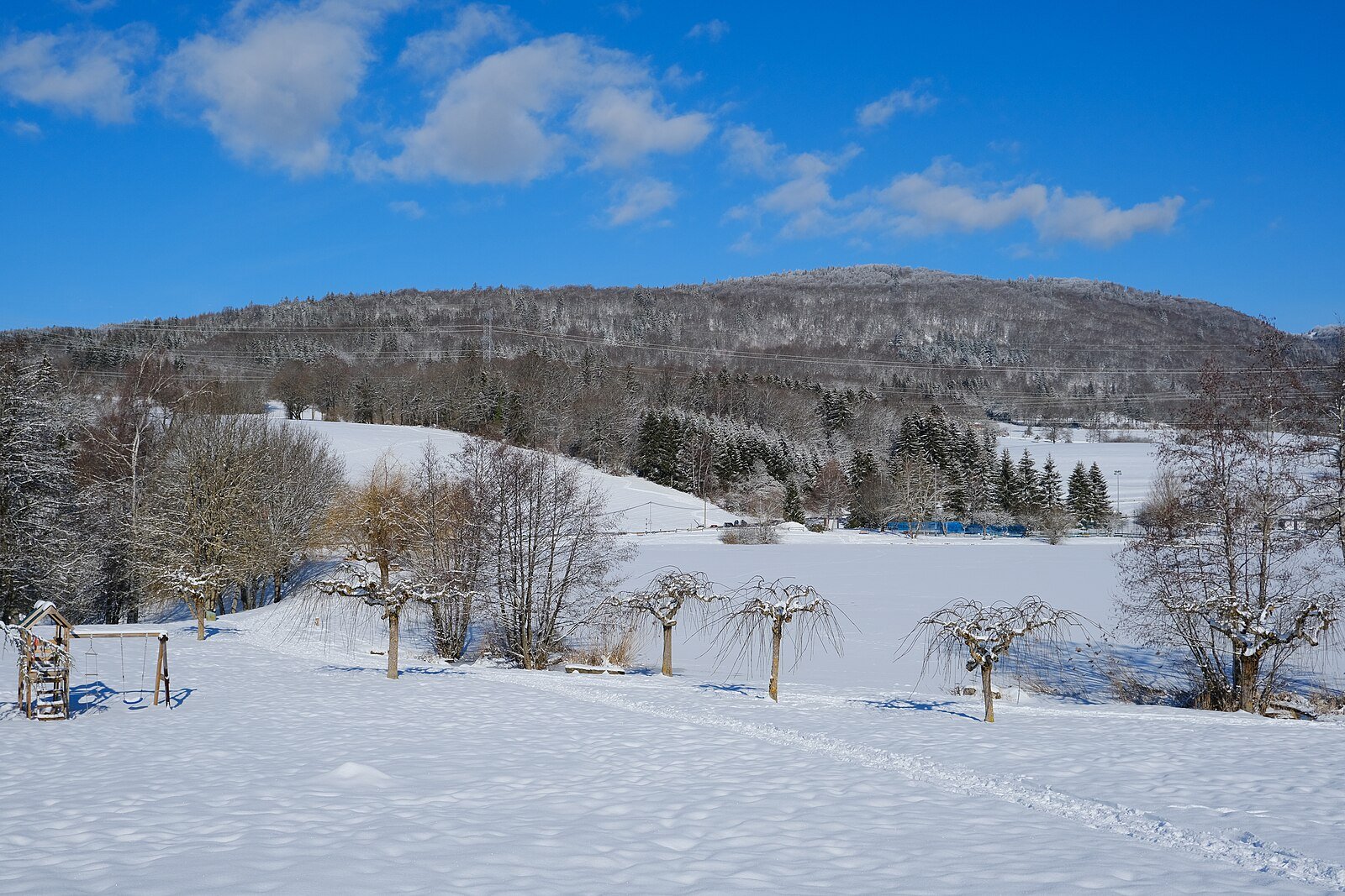 Parc des Dronières avec son lac, ses sentiers forestiers et son parc animalier, Cruseilles, Haute-Savoie