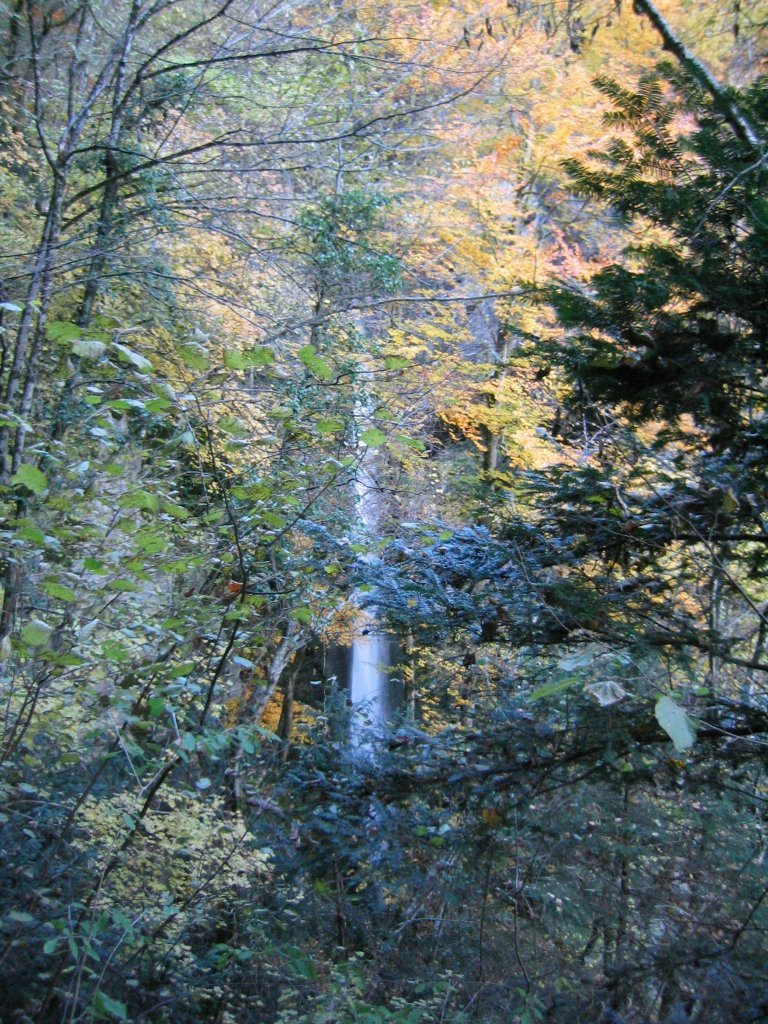 La cascade d'Angon à travers les arbres aux couleurs d'automne