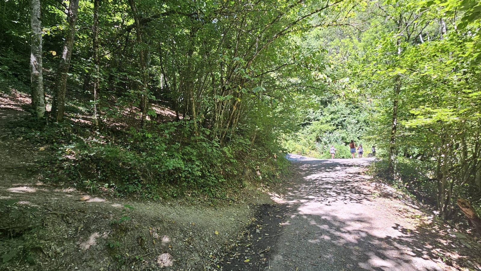 Le chemin d'accès en sous-bois vers la Cascade de Fontany