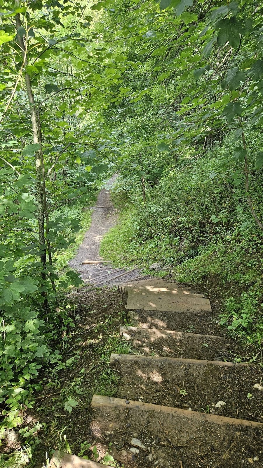 Sentier d'accès de 5 minutes vers la Cascade du Chinaillon
