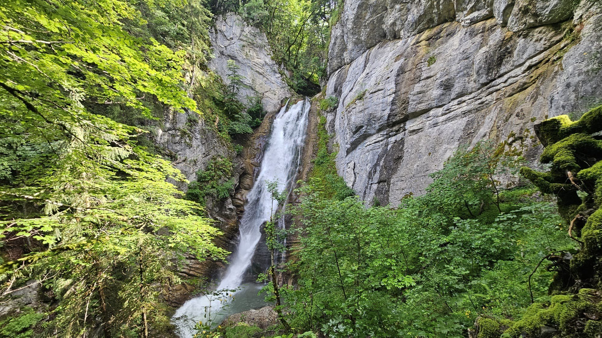 Cascade du Chinaillon הנופל דרך ערוץ צר ביער האשוחים, Grand-Bornand Chinaillon, Haute-Savoie