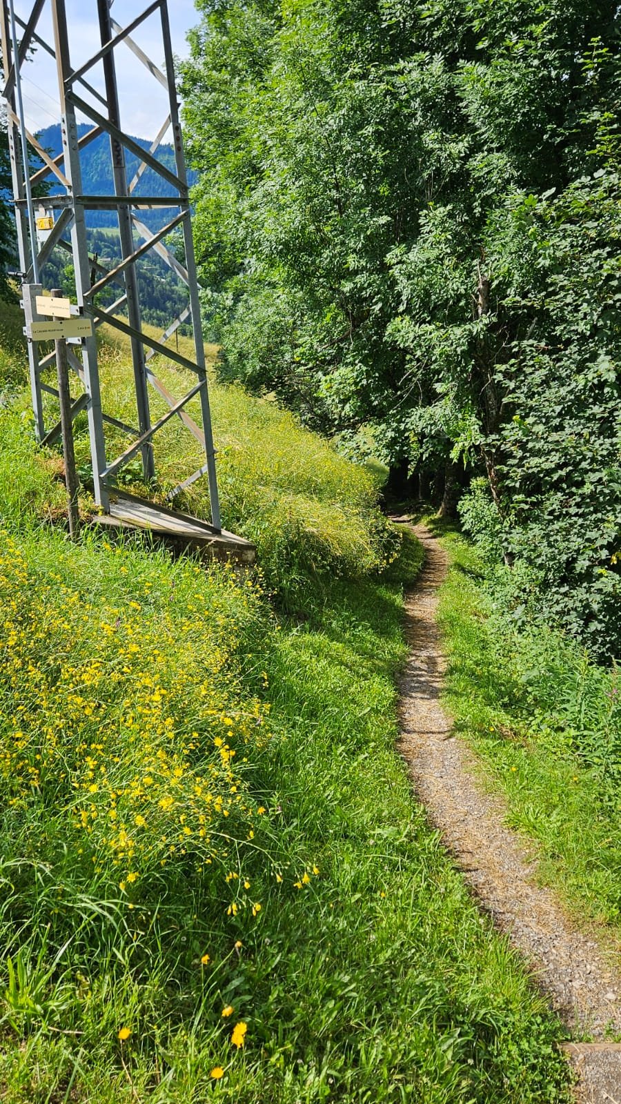 Le sentier de la cascade mystérieuse au départ de l'Envers du Chinaillon, entre prés fleuris et forêt