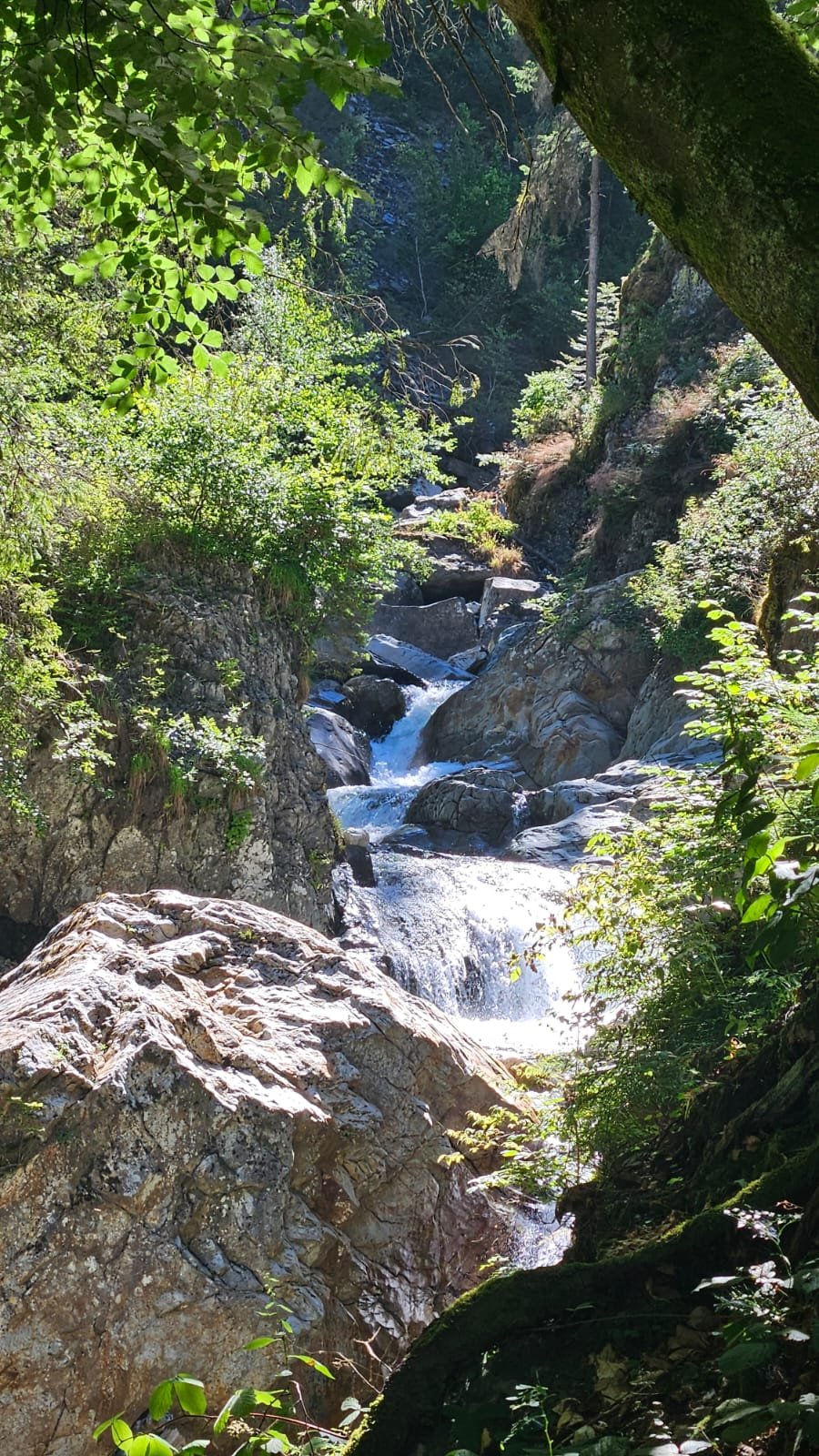 Le torrent de la Diosaz bondissant de cascade en cascade au fond de la gorge