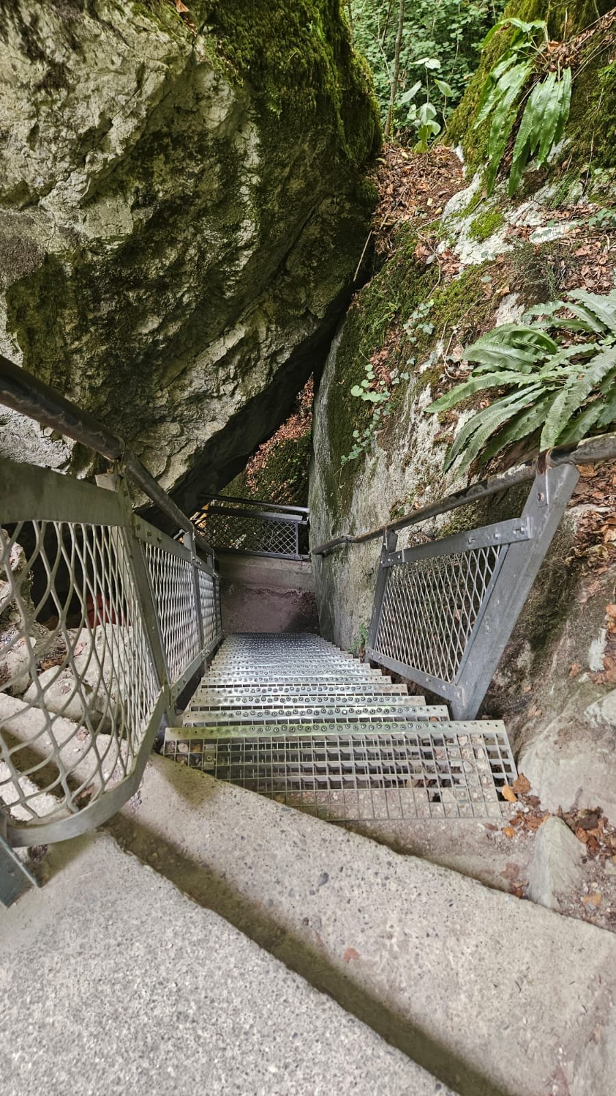 Escalier métallique à caillebotis descendant entre deux parois rocheuses moussues