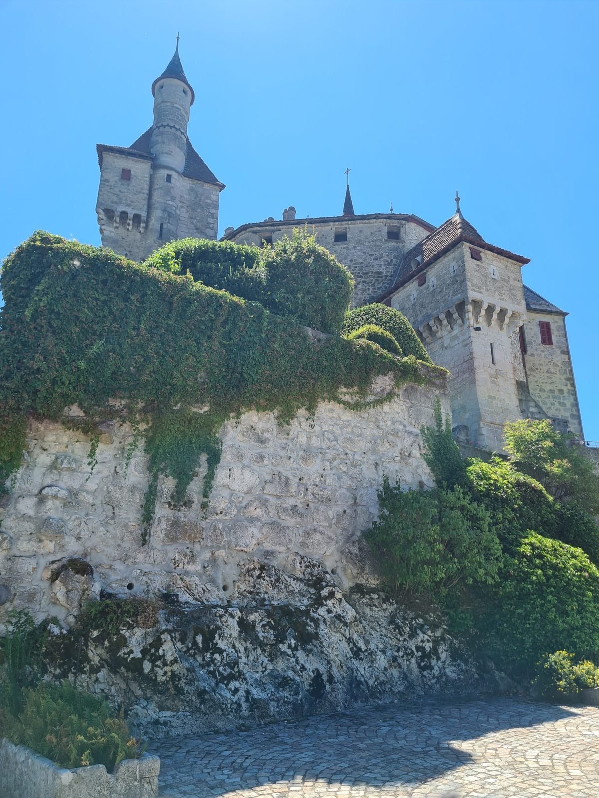 Tours et poivrière du Château de Menthon-Saint-Bernard depuis les remparts