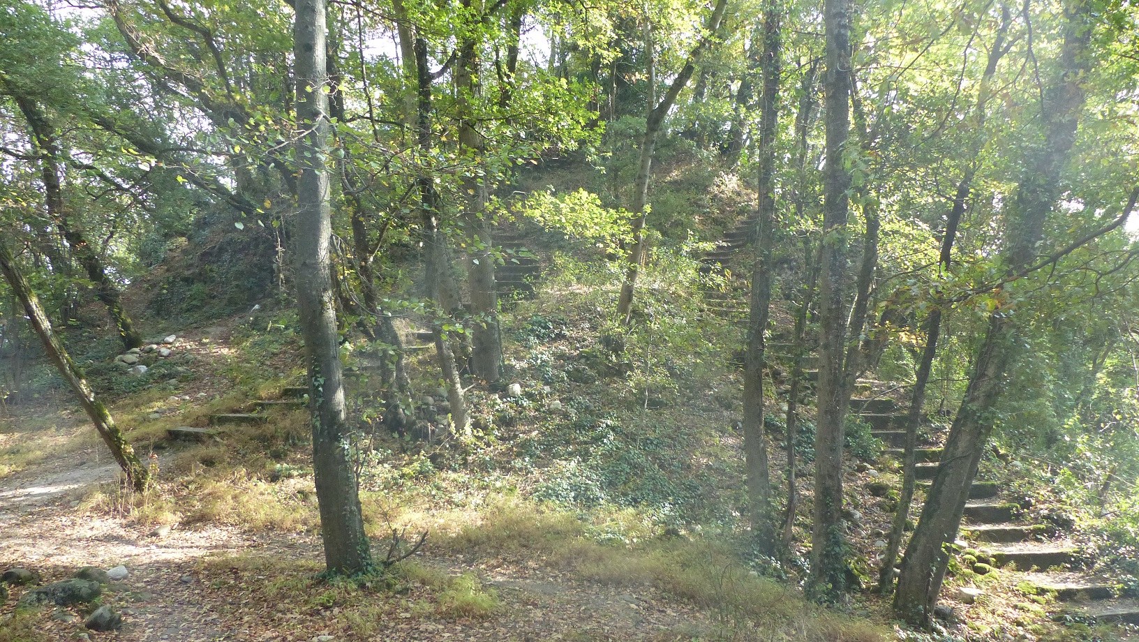 Vestiges du Château comtal de Ternier sur la colline de Ternier à Saint-Julien-en-Genevois, ancienne châtellenie médiévale, Haute-Savoie