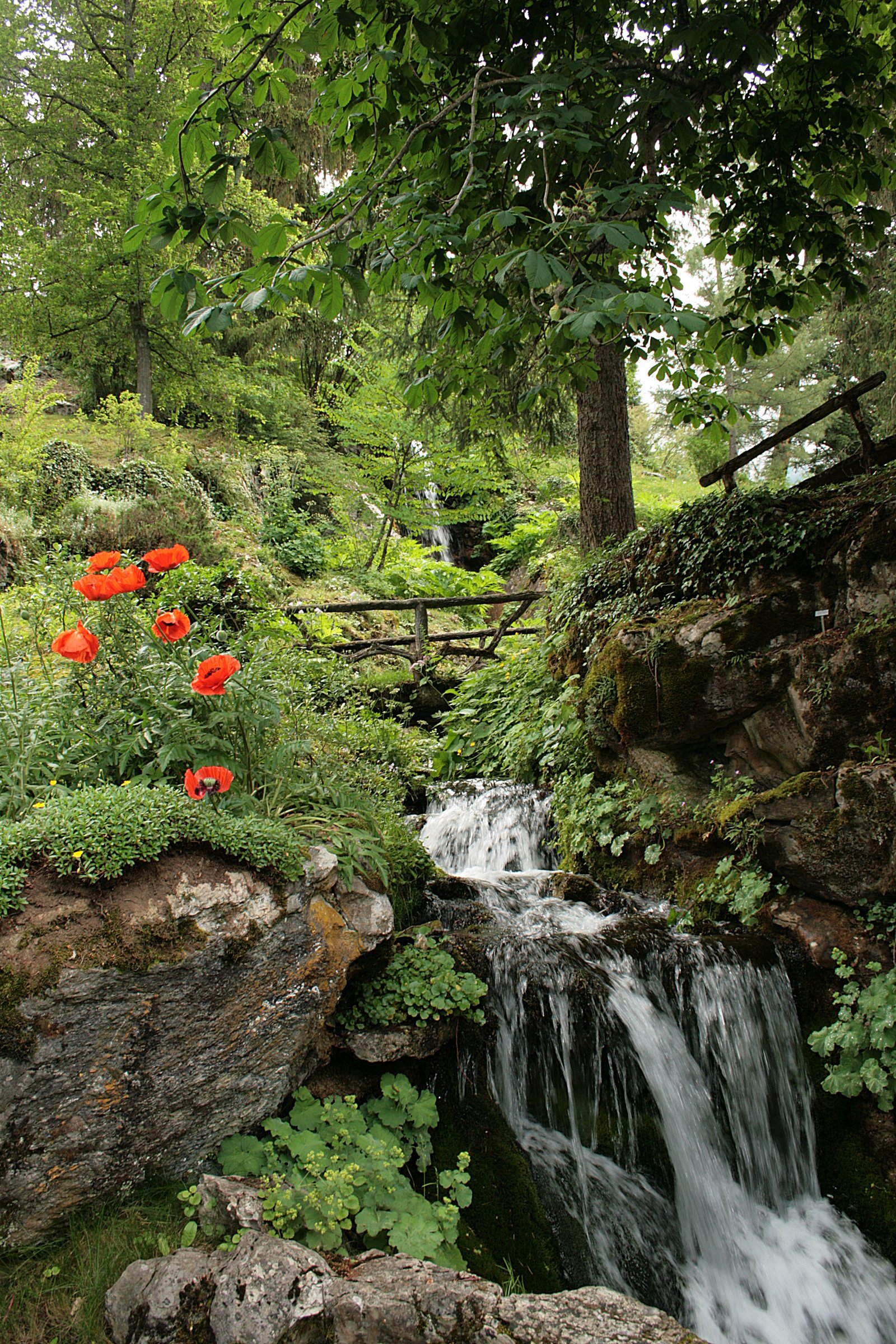 Jardin remarquable - direction scientifique MNHN Jardin botanique alpin La Jaÿsinia à Samoëns Haute-Savoie 74