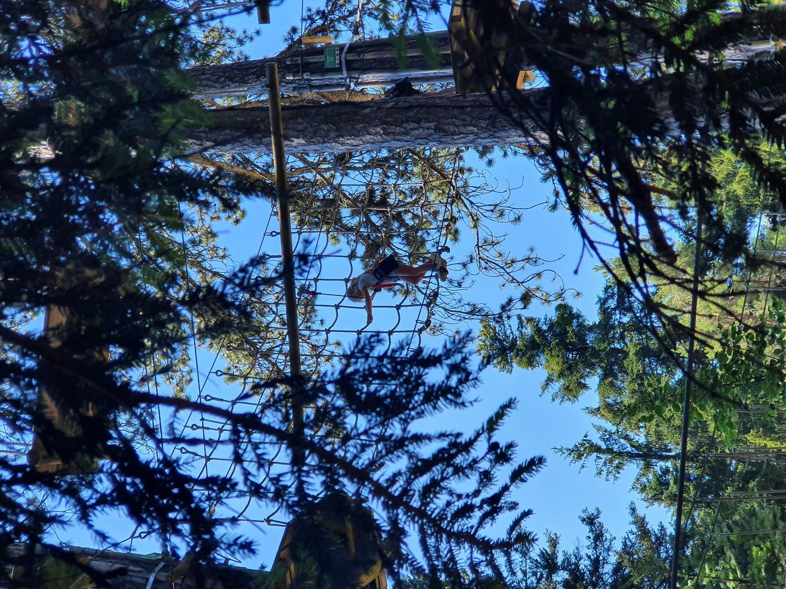 Pont de singe dans la canopée, Acro'Aventures Talloires