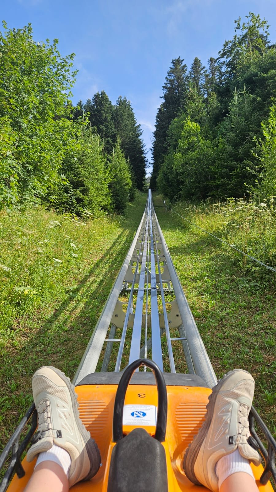 Montée sur les rails de la luge d'été de La Sambuy, entre les sapins de Seythenex