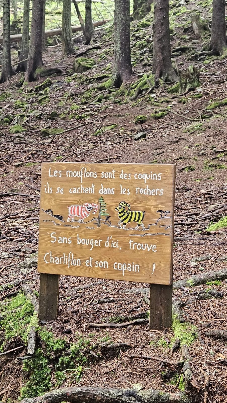 Panneau du parcours pédagogique des mouflons au Parc de Merlet