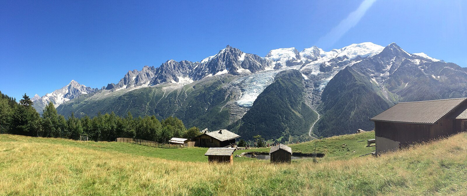 Vista panorámica del macizo del Mont-Blanc desde el Parc de Merlet con íbices y rebecos en semilibertad, Les Houches, Alta Saboya