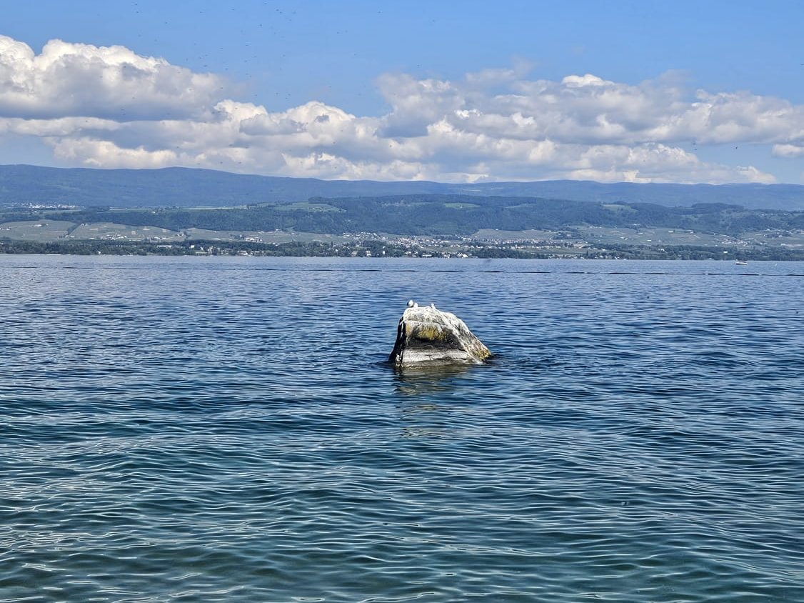 Le Léman devant Yvoire : la Pierre d'Equarre affleure entre le bleu du lac et la rive suisse