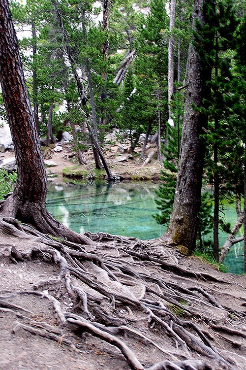Lago verde - panoramio - patano.jpg