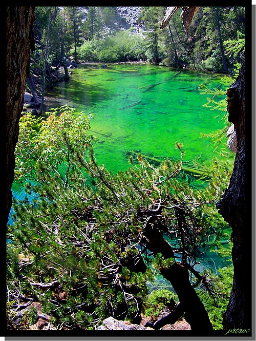 Inutile titolare , il lago Verde - panoramio.jpg
