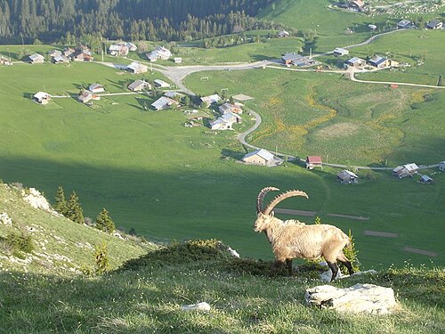 Plateau de Solaison — vue sur le massif