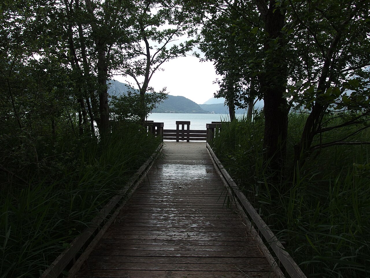 Réserve naturelle du Bout-du-Lac d'Annecy — Doussard, Haute-Savoie